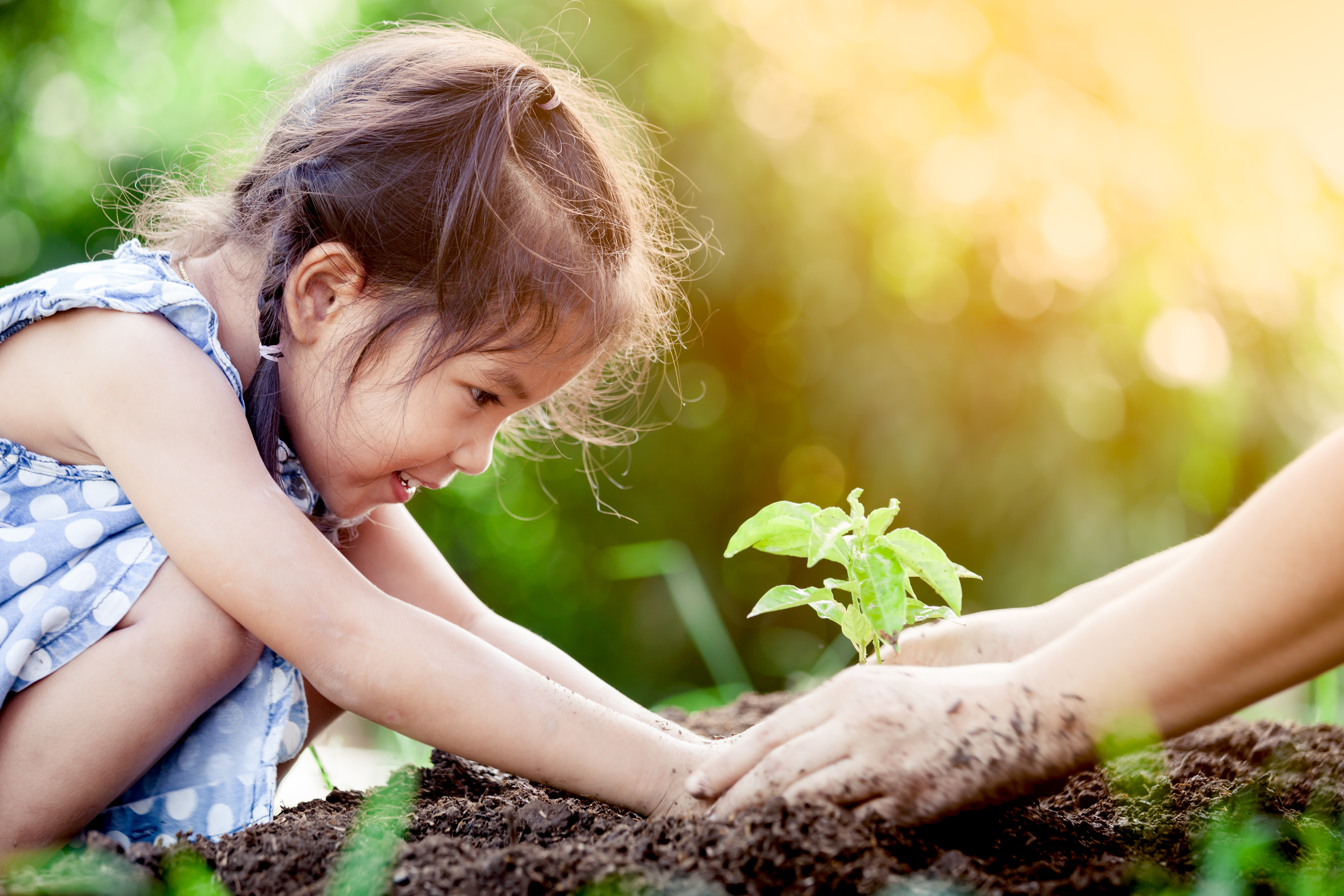 Little girl planting tree with mother